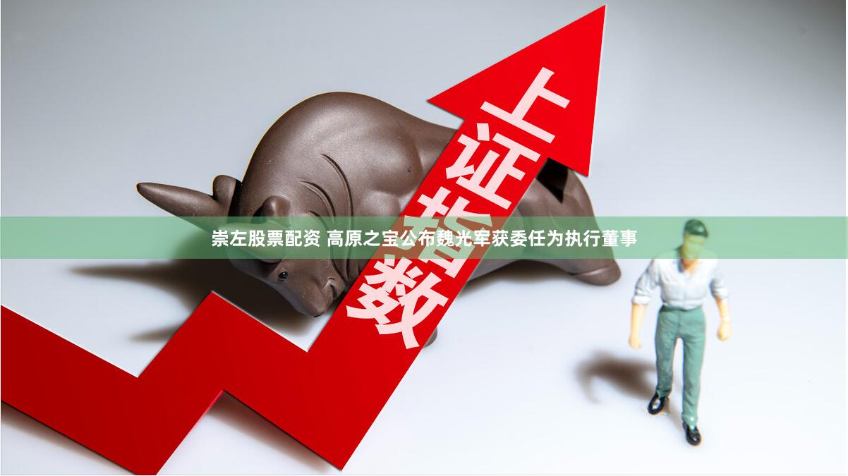 崇左股票配资 高原之宝公布魏光军获委任为执行董事
