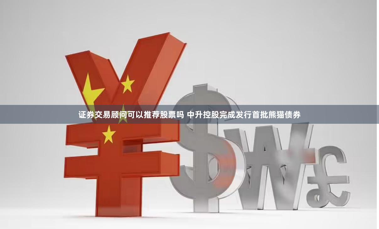 证券交易顾问可以推荐股票吗 中升控股完成发行首批熊猫债券