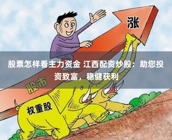 股票怎样看主力资金 江西配资炒股：助您投资致富，稳健获利