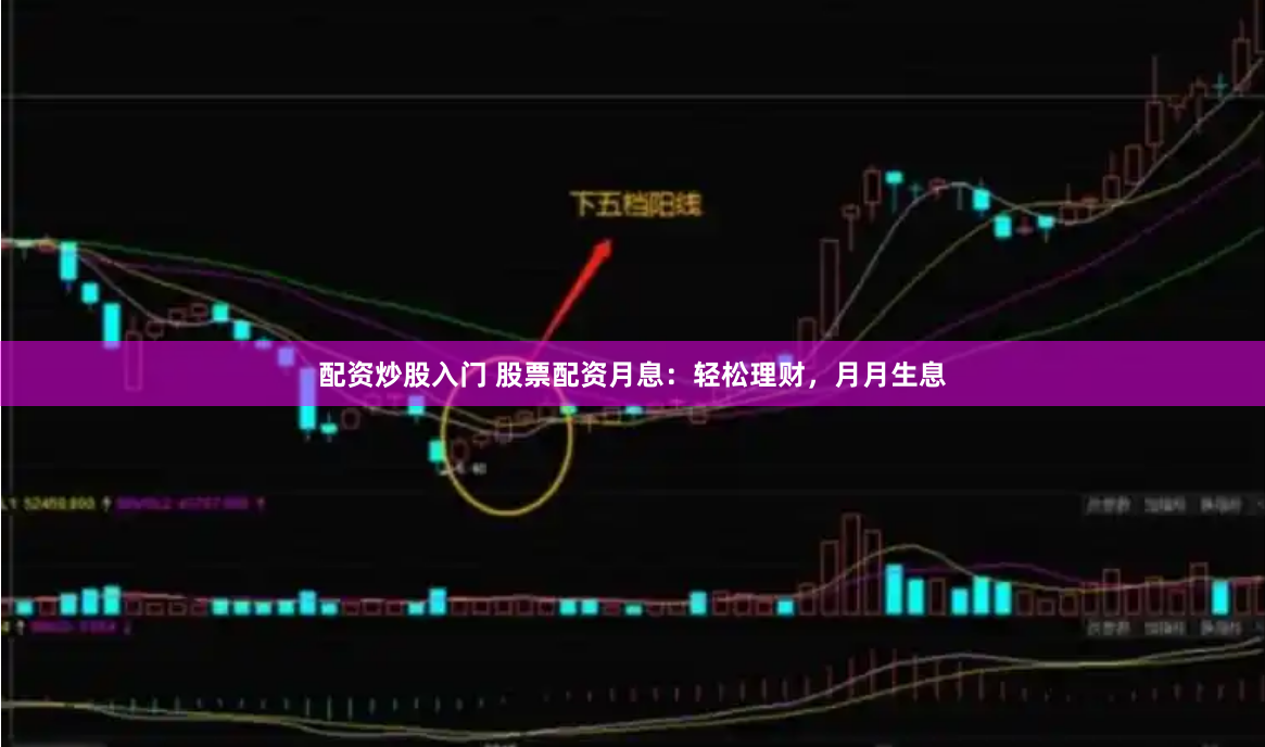 配资炒股入门 股票配资月息：轻松理财，月月生息