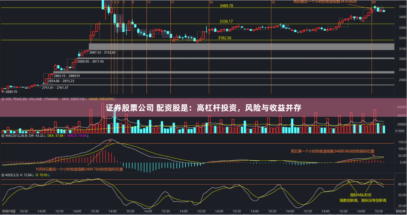 证券股票公司 配资股是：高杠杆投资，风险与收益并存